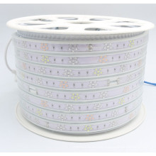 Luces de tira multicolores SMD2835 para decorativas